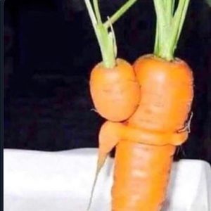 Meet your Posher, Benjamin